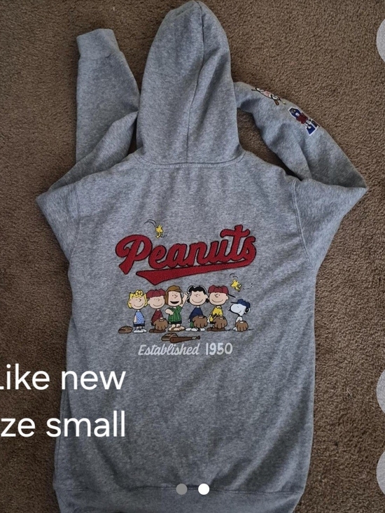 Peanuts Tops - Peanuts Women's Gray Hooded Sweatshirt with Red Logo and Multicolor Characters